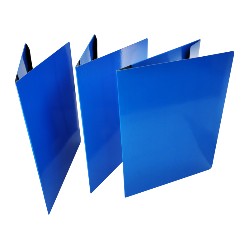 CARPETA SEGURA CARTULINA DF 