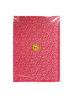 FOAMY (EVA) ESTAMPADO MICRO ESCARCHADO "KT" FONDO-COLOR PQ.5PZ.40X60CM.XGAMA TN